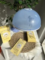 ⁦جهاز البخار 2*1 يحتوي على قطعتين ( فيشل للوجه + وحمام بخار للشعر ) من براند كيوت⁩ - الصورة ⁦3⁩