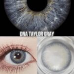 عدسة - DAN Taylor Blue Grey - فرش ليدي