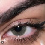 عدسة - Lima - من فرش ليدي