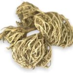 عشبة كف مريم