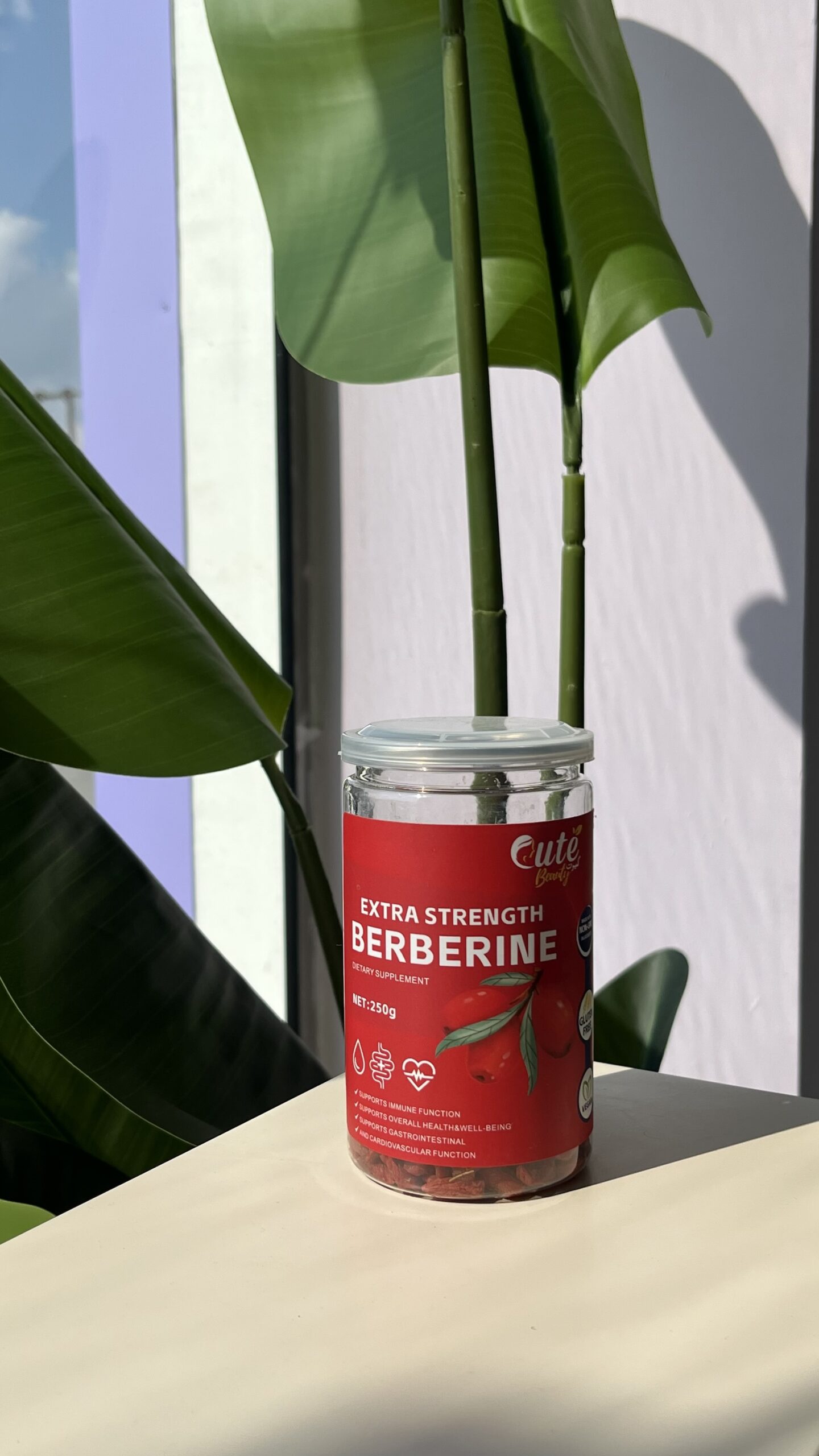 img_4537-3 البربرين لتخفيف الوزن وتنظيم السكر - كيوت - الصورة 1